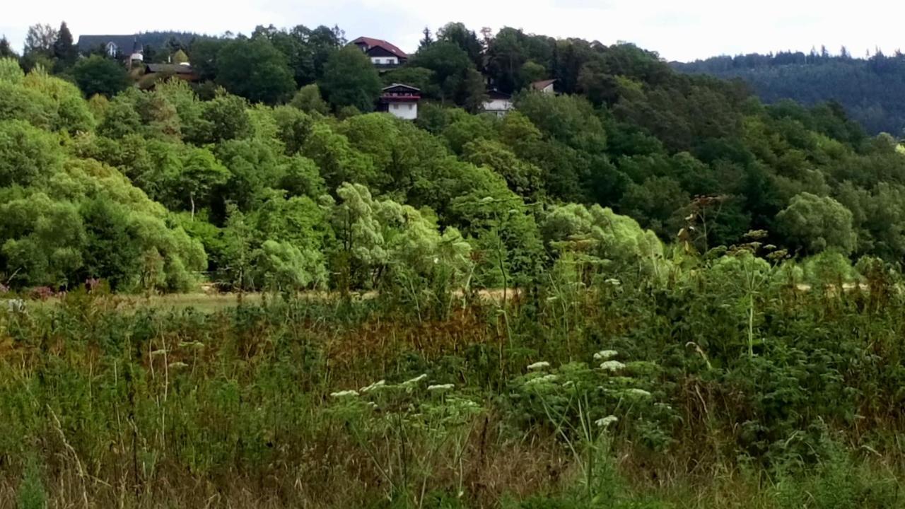 Villa Ferienhaus im Ederbergland Hatzfeld Exterior foto